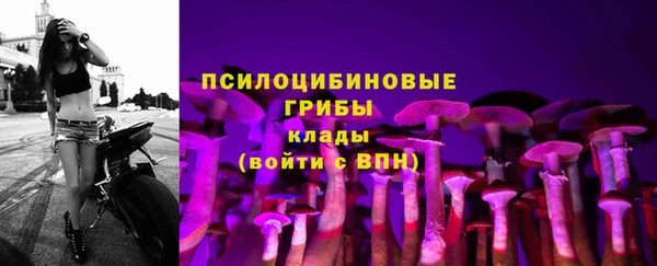 бутират Белокуриха