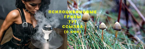 ПСИЛОЦИБИНОВЫЕ ГРИБЫ Снежинск